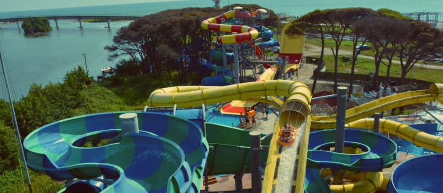 განმუხურში საუკუნოვანმა ხეებმა ხმობა დაიწყო- მოსახლეობა მიზეზების გარკვევას ითხოვს