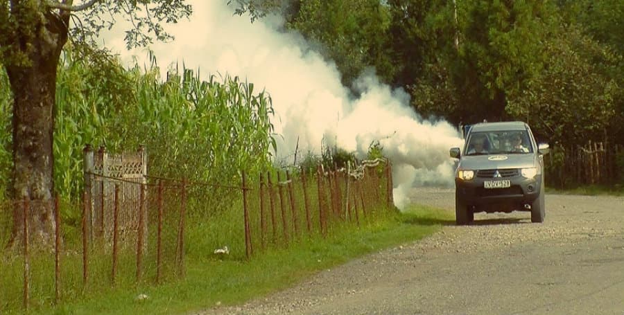 წალენჯიხაში აზიური ფაროსანას საწინააღმდეგო ღონისძიებები გრძელდება