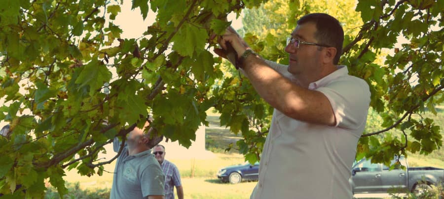 ჩხოროწყუს მერი ფაროსანასთან ბრძოლის ღონისძიებებს გაეცნო