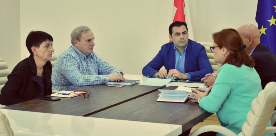 ალექსანდრე მოწერელია ევროკავშირის სადამკვირვებლო მისიის წარმომადგენელს შეხვდა