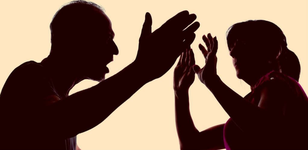 მიმდინარე წელს ოჯახში ძალადობაში 16 პოლიციელი ამხილეს