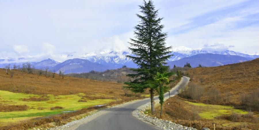 მნიშვნელოვანი პროექტები წალენჯიხაში 2013-2018 წლები