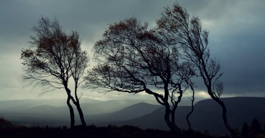 ძლიერმა ქარმა სამეგრელოს რეგიონში პრობლემები შექმნა