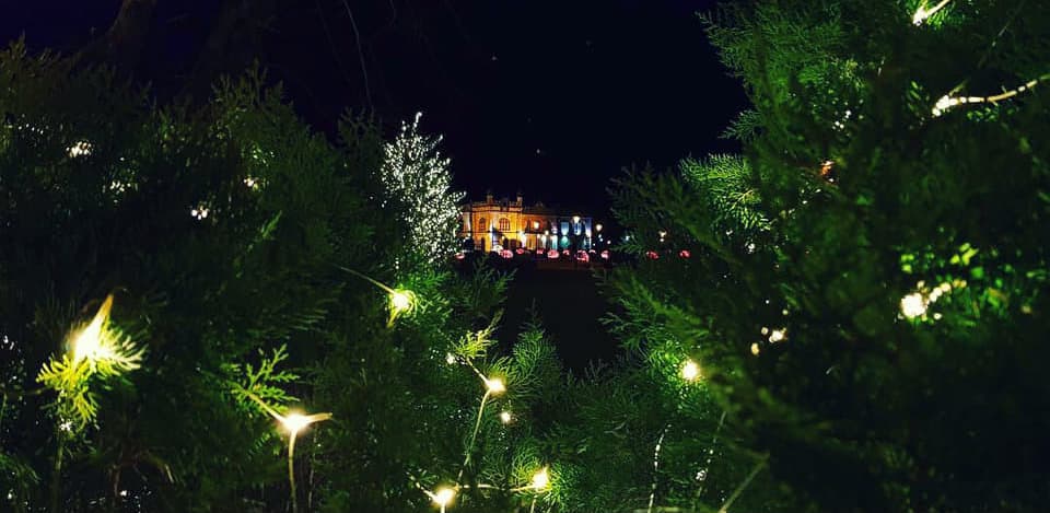 როგორ გამოიყურება ზუგდიდი წინასაახალწლოდ? [ფოტო]