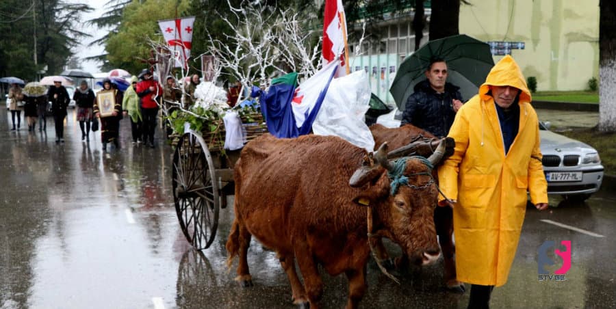 საშობაო ალილო სენაკის მუნიციპალიტეტში
