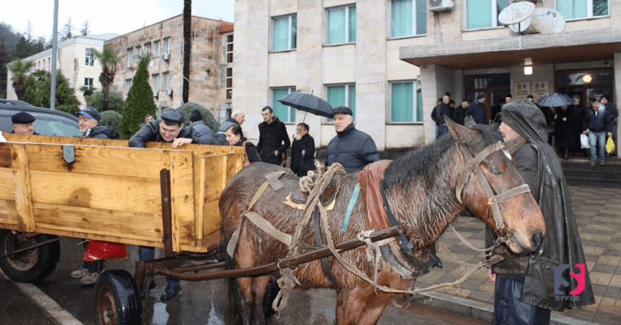 საშობაო ალილო წალენჯიხის მუნიციპალიტეტში