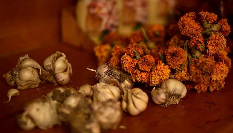 “სვანური მარილის მოთხოვნის გაზრდაზე ვფიქრობთ” – “ნესკრა ჰიდროს” სოციალური პროექტები სვანეთში