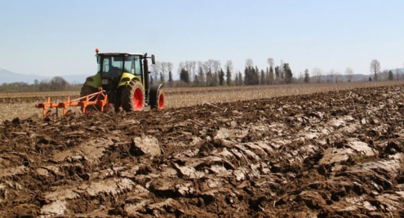 სოფელ სალხიშონი 45 წლის მამაკაცი ქვის სამტეხლო დანადგარმა მოიყოლა და ადგილზე გარდაიცვალა