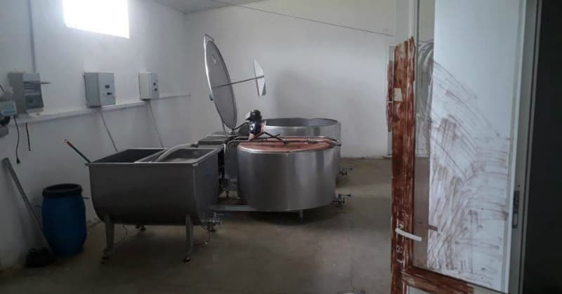 სენაკში რძის საწარმო გაქურდეს