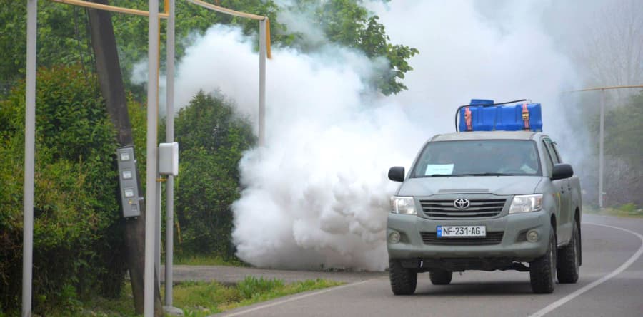 ზუგდიდის მუნიციპალიტეტში თერმული ნისლით წამლობა იწყება