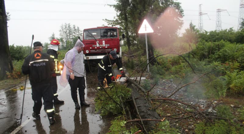 ძლიერმა ქარმა და წვიმამ წალენჯიხის მუნიციპალიტეტში პრობლემები შექმნა