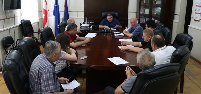 სენსკის მუნიციპალიტეტის მერთან სამუშაო შეხვედრა გაიმართა