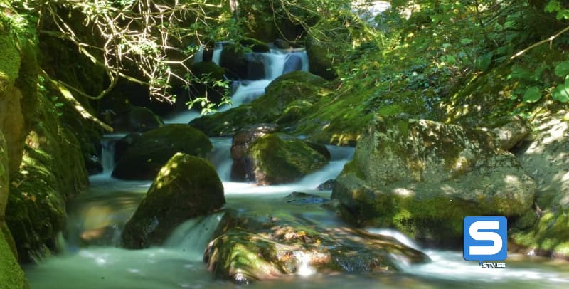 ლებარდე – მარტვილის მუნიციპალიტეტი [ფოტოგალერეა]