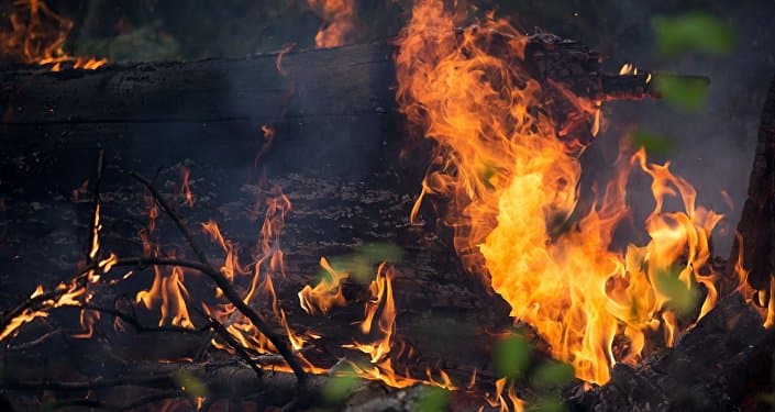 სალხინოში გაჩენილი ხანძრის 70 % ამ დროისვის ლოკალიზებულია