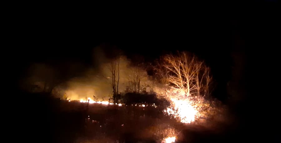 ზუგდიდში, ხანძარის შედეგად 6 ჰექტარამდე თხილისა და ხურმის პლანტაცია დაიწვა