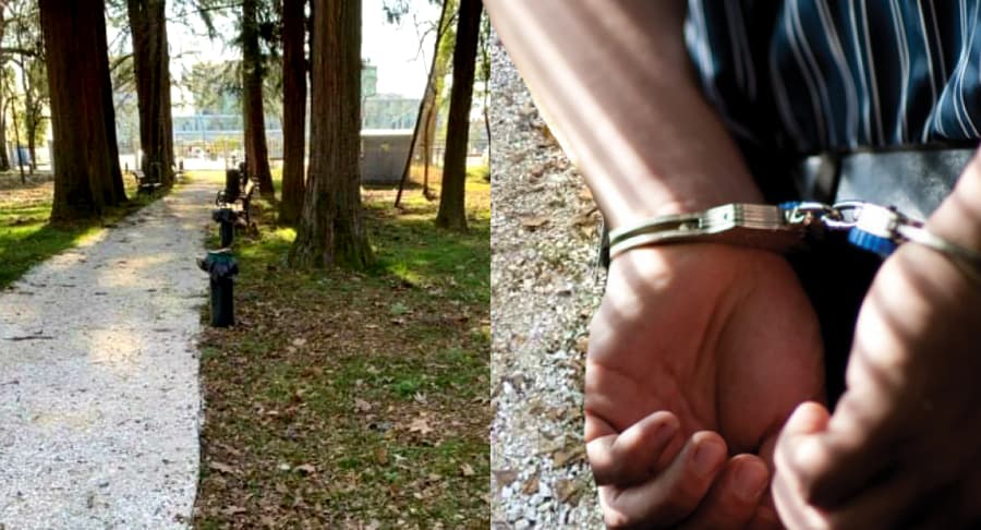 რა სასჯელი ემუქრება ბოტანიკურ ბაღში სანათების დააზიანებისთვის დაკავებულ პირს?