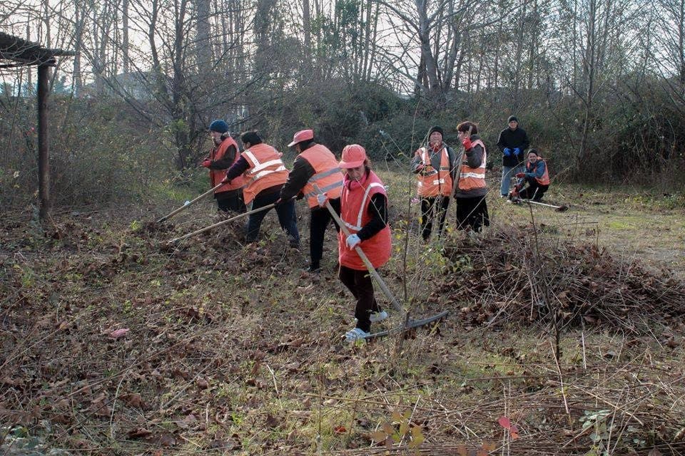 ფოთის სერვისების ცენტრის თანამშრომლებმა ყოფილი სამხედრო ჰოსპიტალის ეზო დაასუფთავეს