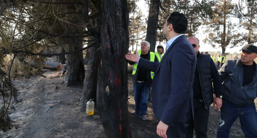 ზედაეწერში ცეცხლის შედეგად დაზიანებული ქარსაცავი ზოლი აღდგება