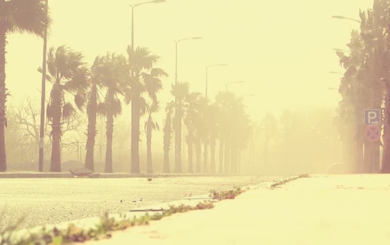 ქვიშის ქარი ანაკლიაში – ადგილობრივები დახმარებას ითხოვენ