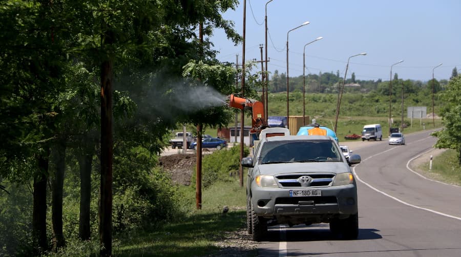 მავნებლის გავრცელების კერებში ლოკალური ღონისძიებები მიმდინარეობს