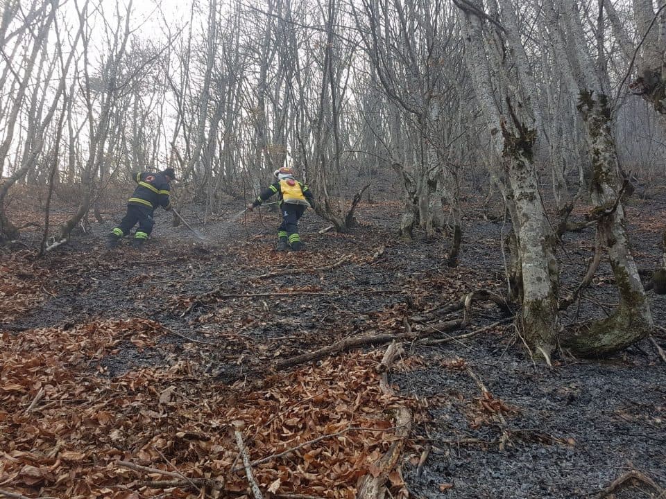 სოფელ სქურში ხანძრის ერთი კერა ლოკალიზებულია