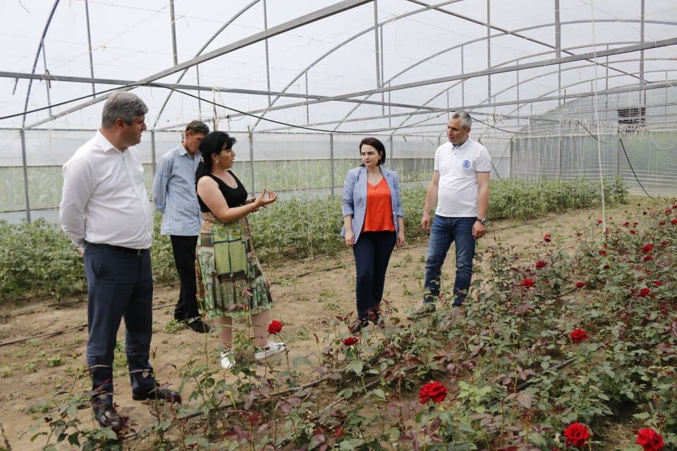 ბესარიონ სიმონიშვილმა დევნილებისთვის დაფინანსებული სათბურები მოინახულა