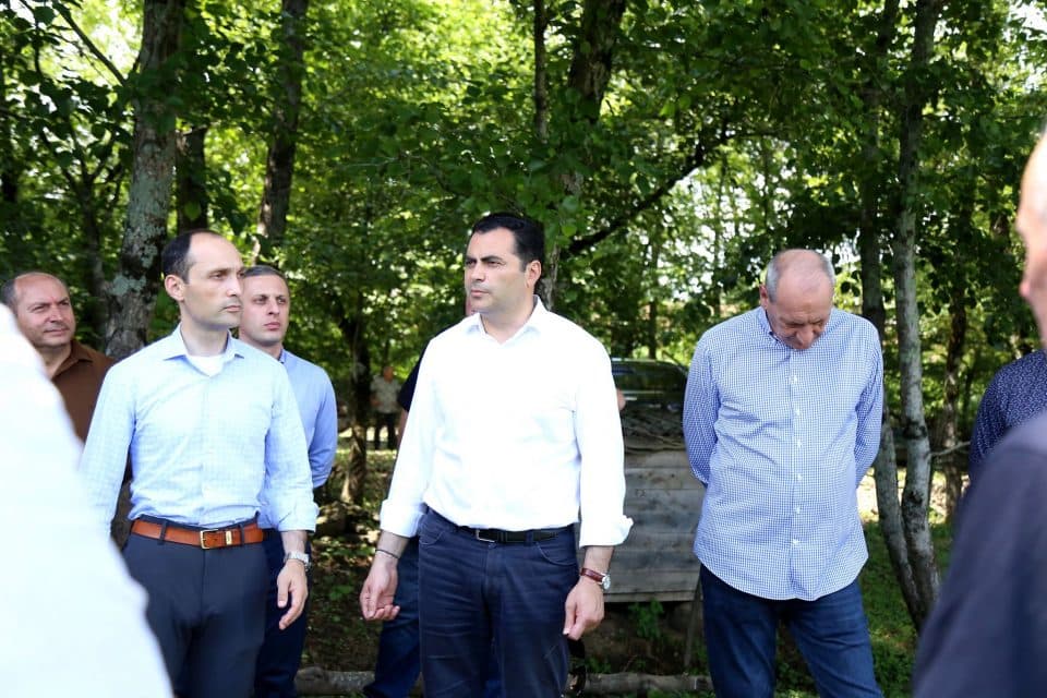 ალექსანდრე მოწერელია: ველოდებით თხილის კარგ მოსავალს, საუბარია 50 ათას ტონაზე მეტ მოსავალზე