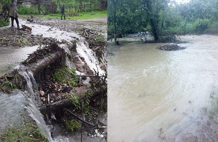 გადაუღებელმა წვიმამ და ძლიერმა ქარმა წალენჯიხის მუნიციპალიტეტში პრობლემები შექმნა