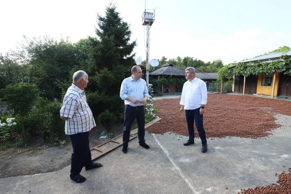 ირაკლი ჩიქოვანმა თხილის სექტორში მიღწეულ შედეგები უშუალოდ ფერმერისგან მოისმინა