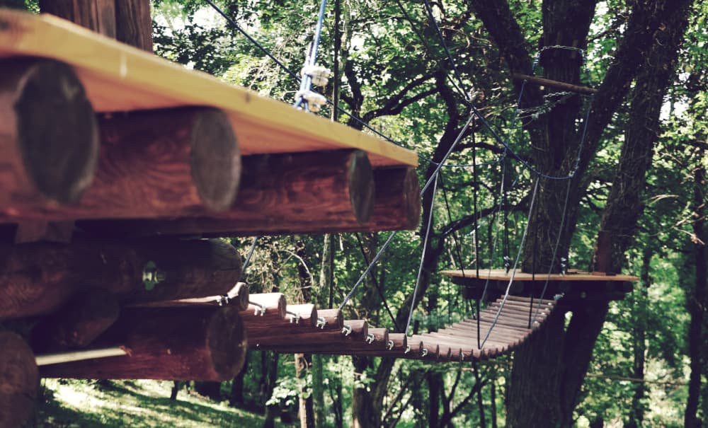 სენაკში თოკების პარკი, ზიპლაინი და ღია ბაზრობა გაიხსნა - image 3