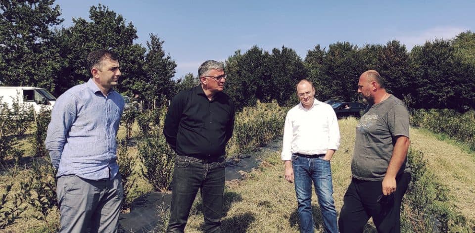 ირაკლი ხახუბიამ ფოცხოს ადმინისტრაციულ ერთეულში შპს ,,აგროთემას“ მოცვის ბაღები დაათვალიერა