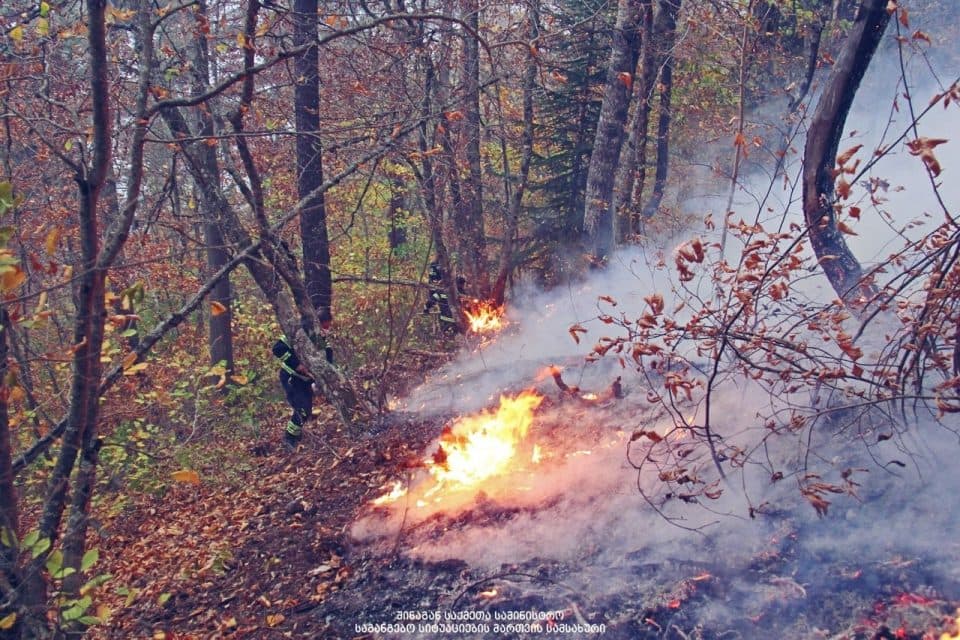 ლატალში ხანძრის სალიკვიდაციო სამუშაოები გრძელდება