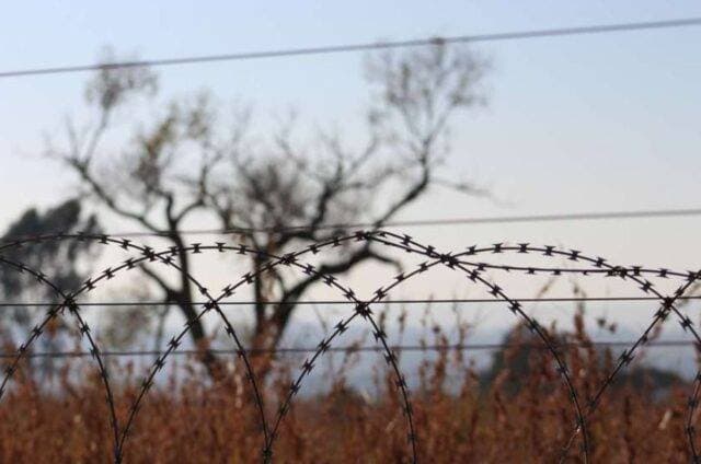 საოკუპაციო ხაზთან მცხოვრები ახალგაზრდების ჩართულობის ზრდა დემოკრატიულ პროცესებში