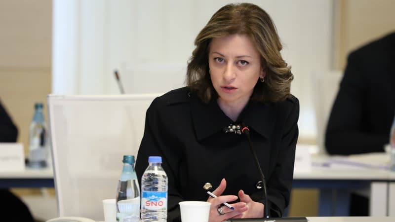 “გადაწყვეტილებას პრემიერ მინისტრი მიიღებს” – ტიკარაძე ახალი მთავრობის ჩამოყალიბებაზე