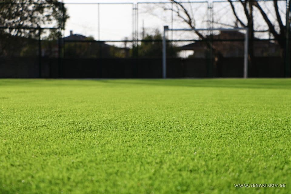 სენაკში საგანმანათლებლო ინფრასტრუქტურა აქტიურ რეჟიმში ხორციელდება