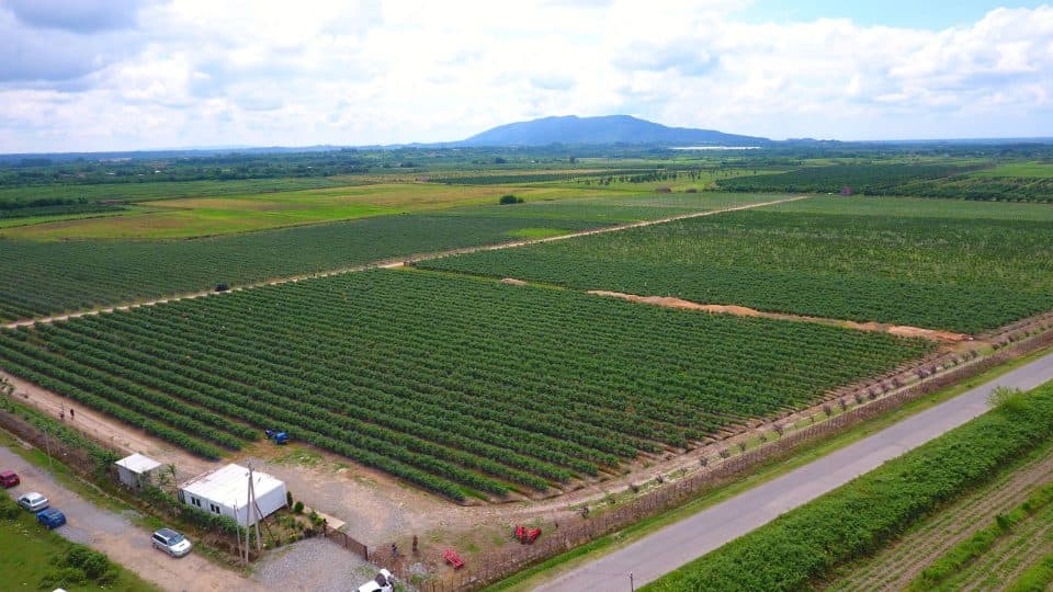 რეგიონული პოლიტიკისა და თვითმმართველობის კომიტეტის წევრები სამეგრელოში მიმდინარე პროექტებს გაეცნენ