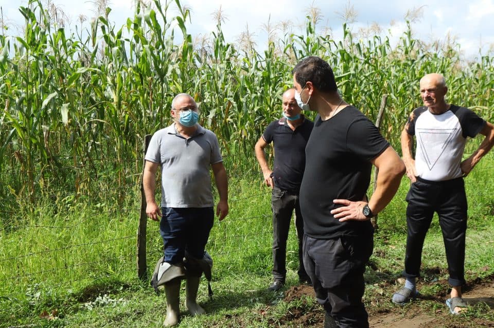 სოფელ ახალკახათში სანიაღვრე არხების გაჭრა მიმდინარეობს, რაც წყალმოვარდნების რისკს მაქსიმალურად შეამცირებს