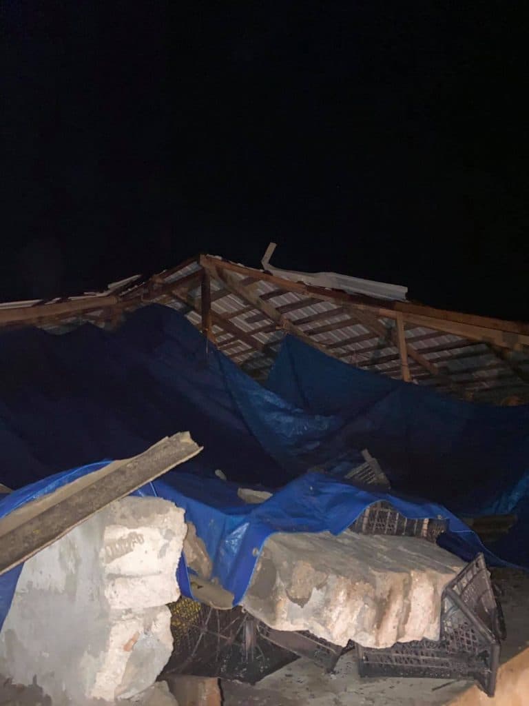 გიორგი გუგუჩია: შავღელესა და ფოთში ქარისგან დაზარალებულ მოსახლეობას სახელმწიფო დაეხმარება - image 4