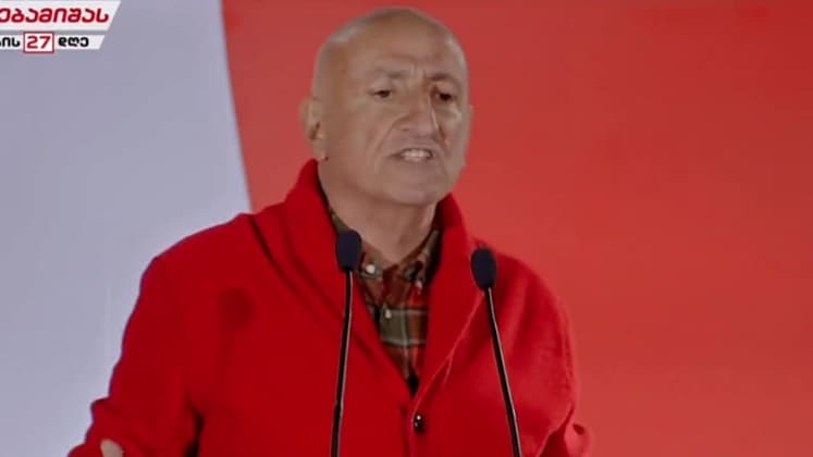 ანზორ მელია: სკაიპით რომ შეიძლებოდეს ბავშვების გაზრდა, მაშინ სკაიპითაც შეიძლებოდა ბავშვების გაკეთება