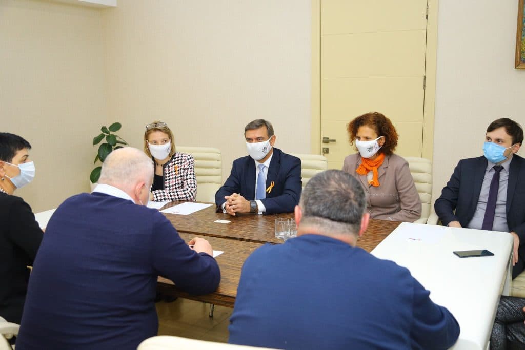 სამეგრელო-ზემო სვანეთის სახელმწიფო რწმუნებული ჩეხეთის ელჩს შეხვდა - image 2