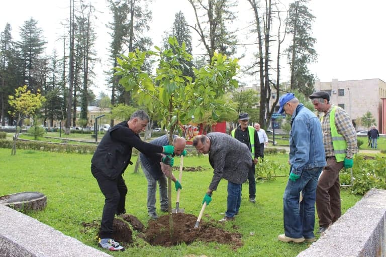 წალენჯიხის მუნიციპალიტეტში გამწვანების აქცია მიმდინარეობს
