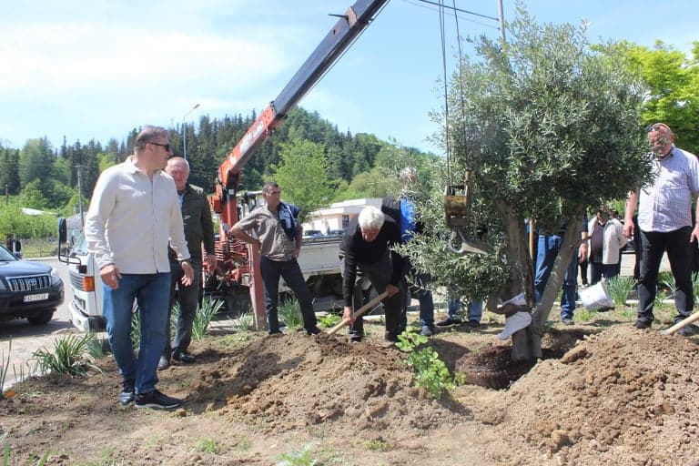 წალენჯიხაში გამწვანების აქცია გრძელდება