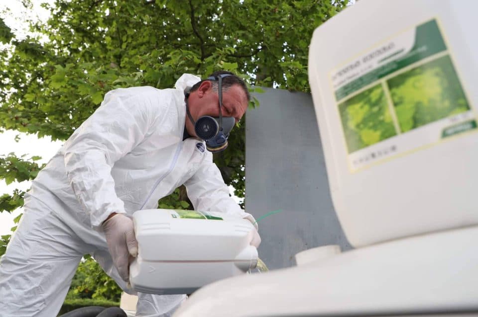 აზიური ფაროსანას საპრევენციო ღონისძიებები აქტიურად მიმდინარეობს