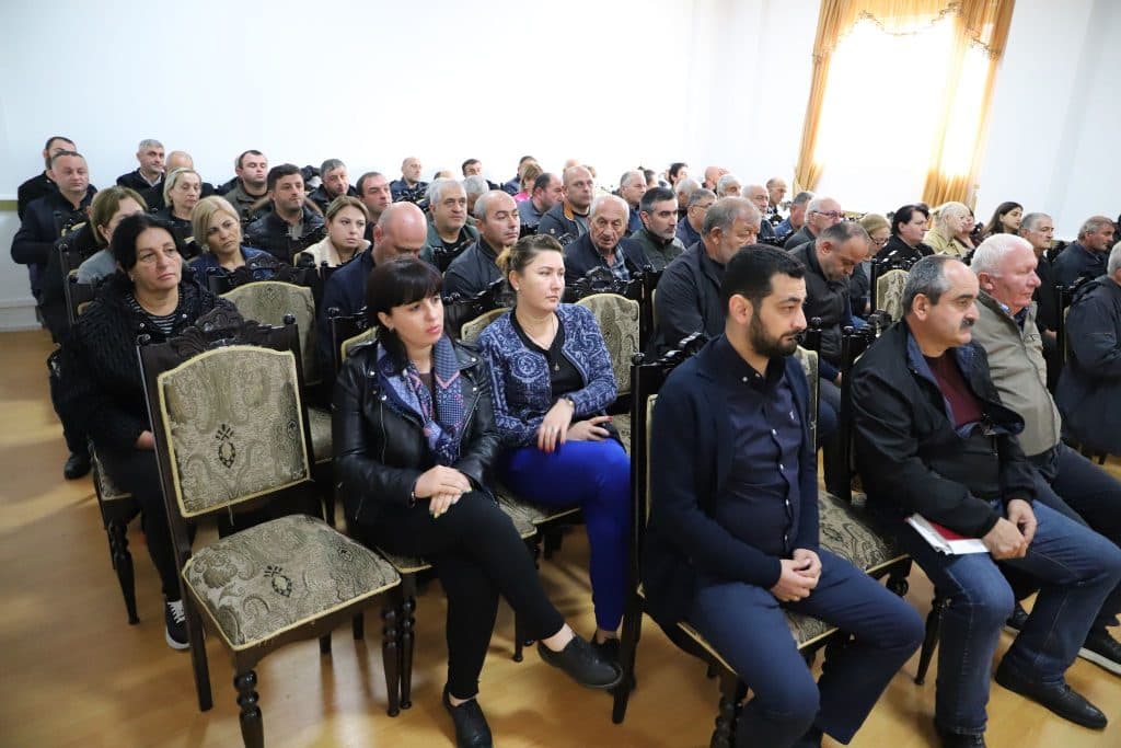 მარტვილის მერმა საქმიანობის ანგარიში წარადგინა - image 3