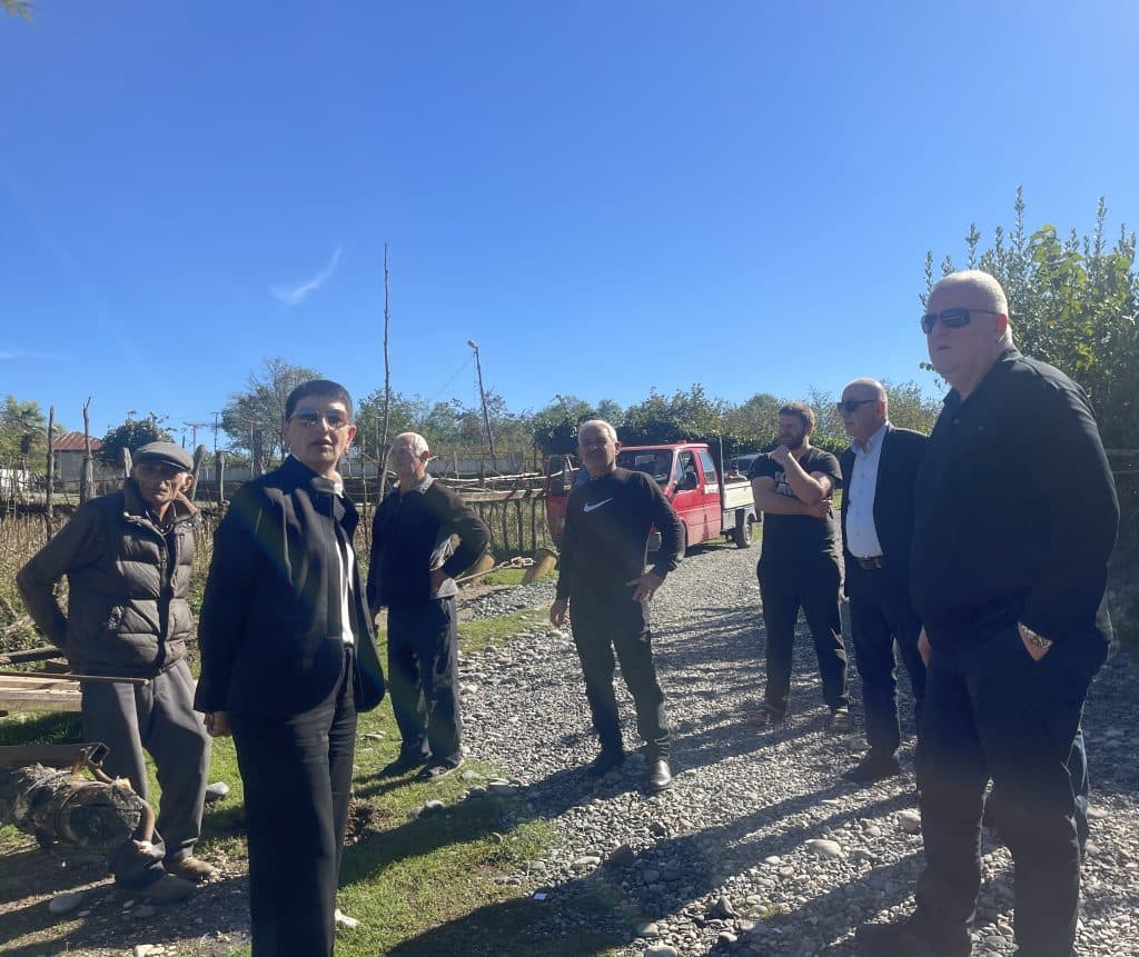 გუბერნატორი: წალენჯიხაში სტიქიით დაზიანებული საცალფეხო ხიდის ნაცვლად საავტომობილო ხიდის მოწყობა მიმდინარეობს - image 2