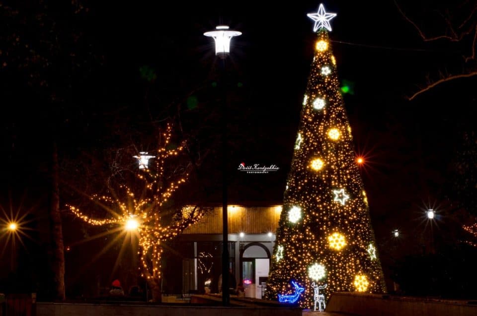 აბაშაში მთავარ ნაძვის ხეს 20 დეკემბერს აანთებენ [პროგრამა]