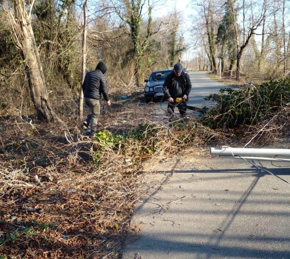 ძლიერმა ქარმა პრობლემები შექმნა აბაშის მუნიციპალიტეტში