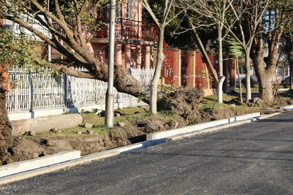 სამეგრელოში ძლიერმა ქარმა პრობლემები შექმნა ადგილზე მუნიციპალური სამსახურები მუშაოებენ