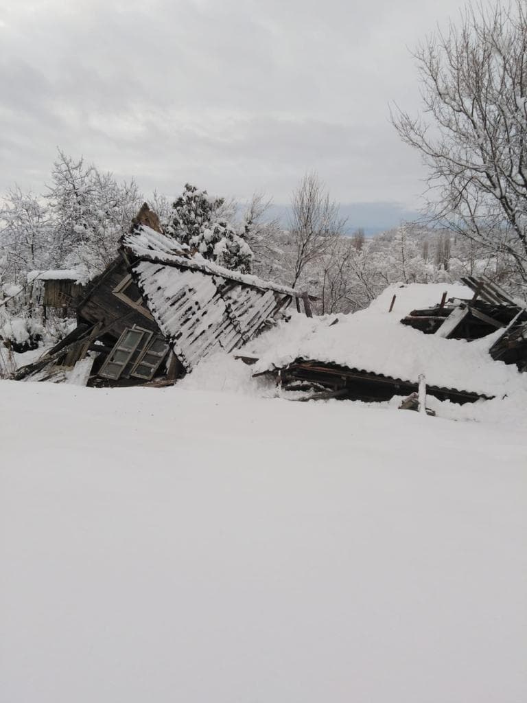 სტიქიით დაზარალებულ ავთანდილ ფარულავას მერია დაეხმარება