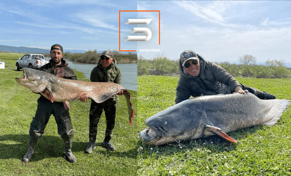 ვინ არის კაცი ვინც სამეგრელოში გიგანტური თევზი დაიჭირა?